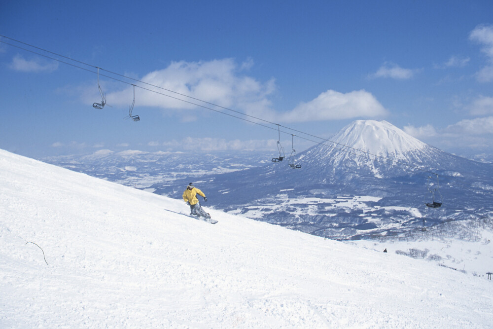 Niseko Banner