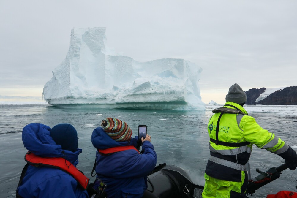 Zodiac Iceberg CathyFinc