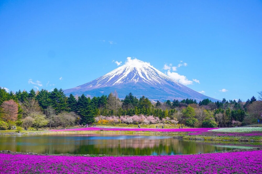 mount fuji 8010752 1280