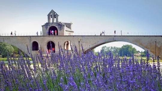 pont d avignon avignon france 3