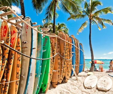 surf boards