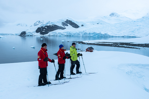 Guests on Skis in Antarctica WEB