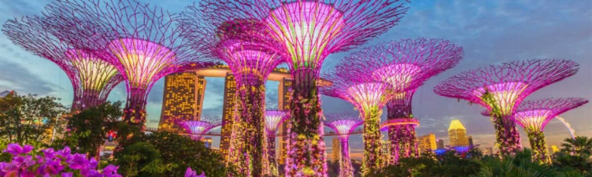 Discover the Magic of Singapore