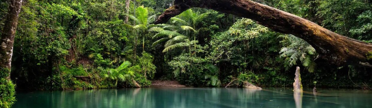 Port Douglas Nature Adventure