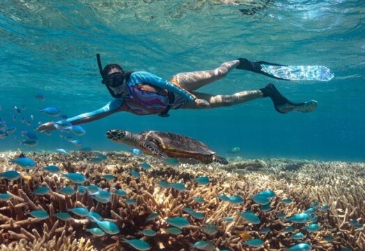 Great Barrier Reef From Sydney