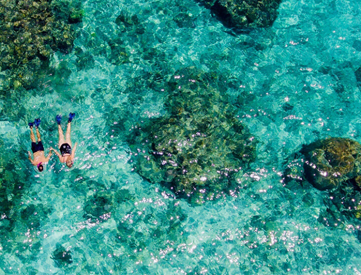 fiji snorkelling