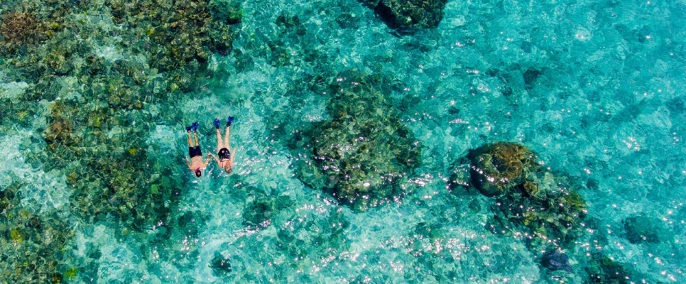 fiji snorkelling